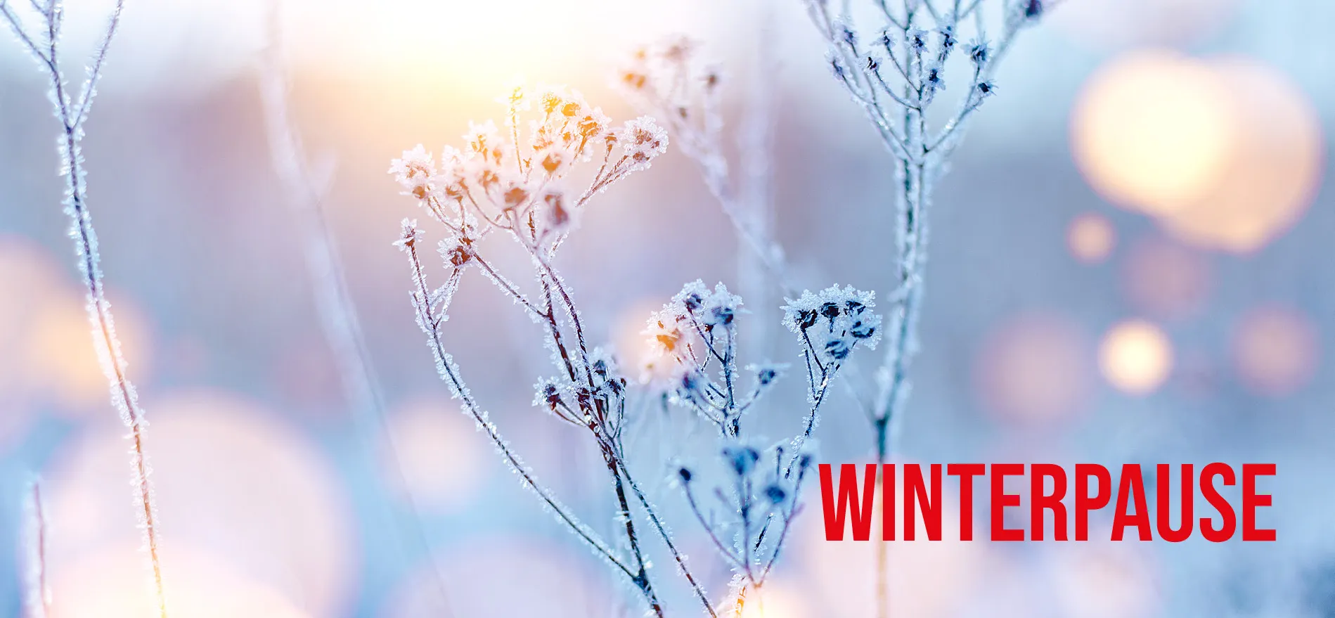 Winterpause, aktuell keine Angebote